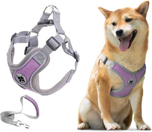 Produktbild von Beaface Verstellbares Hunde-Comfort-Geschirr mit Leine