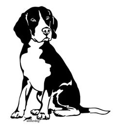 Produktbild von Beagle Grafiklizenz