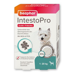 Produktbild von Beaphar IntestoPro Tabs für kleine Hunde