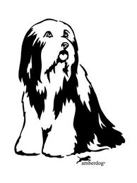 Produktbild von Bearded Collie Grafiklizenz