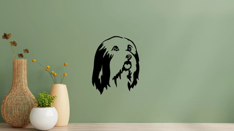 Produktbild von Bearded Collie Kopf Wandtattoo Wandbild Wandsticker Wandaufkleber Wanddekoration