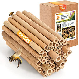 Produktbild von BEESI Nisthülsen Bambus für Bienenhotel 14 cm Länge