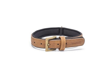 Produktbild von Beeztees Balacron Ax Hundehalsband Kunstleder Braun