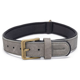 Produktbild von Beeztees Balacron Ax Hundehalsband Kunstleder Grau - 30 mm