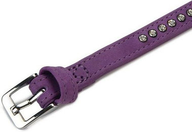 Produktbild von Beeztees Buffalo Hunde-Halsband aus Leder lila