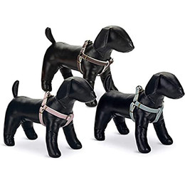 Produktbild von Beeztees Designed by Lotte Hundegeschirr Nylon 20 mm x 46-75 cm Mint