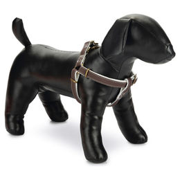 Produktbild von Beeztees Designed by Lotte Hundegeschirr Nylon 25 mm x 60-100 cm Braun