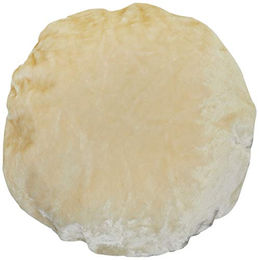 Beeztees Ersatzkissen Tura creme – Bild 1 von 4