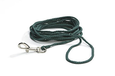 Produktbild von Beeztees Feldleine Nylon grün - 10 m