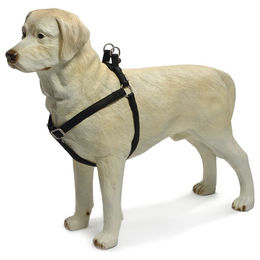 Produktbild von Beeztees Geschirr Macleather