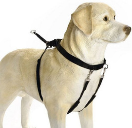 Produktbild von Beeztees Hunde-Erziehungsgeschirr Gentle Walker schwarz