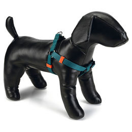 Produktbild von Beeztees Hundegeschirr Uni dunkelgrün