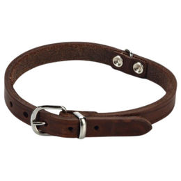 Produktbild von Beeztees Hundehalsband Leder braun