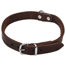 Produktbild von Beeztees Hundehalsband Leder braun