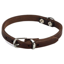 Produktbild von Beeztees Hundehalsband Leder braun