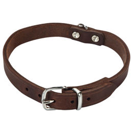 Produktbild von Beeztees Hundehalsband Leder braun