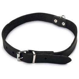 Produktbild von Beeztees Hundehalsband Leder schwarz