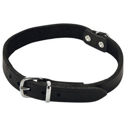 Produktbild von Beeztees Hundehalsband Leder schwarz