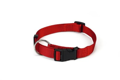 Produktbild von Beeztees Hundehalsband Nylon rot