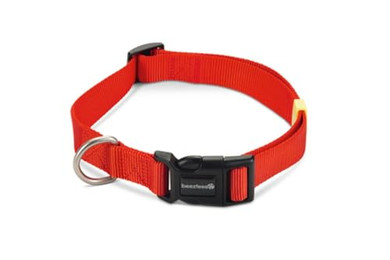 Produktbild von Beeztees Hundehalsband Uni rot