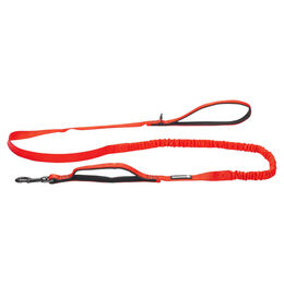 Produktbild von Beeztees Hundeleine Parinca Premium elastisch rot, Maße: 180 cm / 20 mm