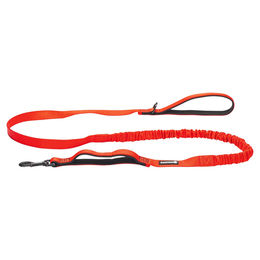 Produktbild von Beeztees Hundeleine Parinca Premium elastisch rot, Maße: 180 cm / 25 mm