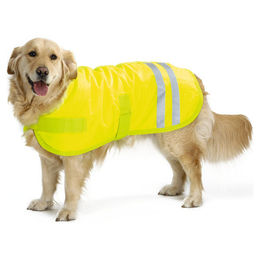 Beeztees Hundemantel Teddie reflektierend gelb 40 cm – Bild 1 von 6