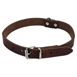 Produktbild von Beeztees Ipts Lederhalsband 57 x 20 cm braun - 1 Stk.