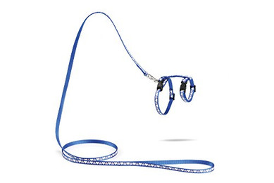 Produktbild von Beeztees Kätzchengeschirr Hearts blau