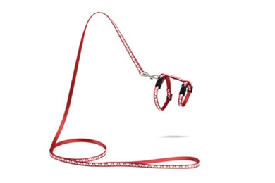 Produktbild von Beeztees Kätzchengeschirr Hearts rot