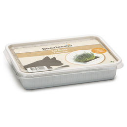 Beeztees Katzengras - 130 g – Bild 1 von 3