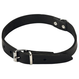 Produktbild von Beeztees Leder-Hundehalsband schwarz