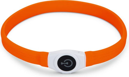 Beeztees Leuchthalsband Glowy Langhaar – Bild 1 von 4