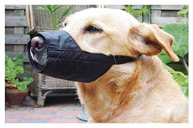 Produktbild von Beeztees Maulkorb Special Größe L