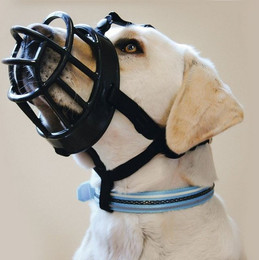 Produktbild von Beeztees Maulkorb TPR schwarz