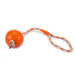 Produktbild von Beeztees Outdoor-Spielzeug Hundespielzeug Ball mit Kordel