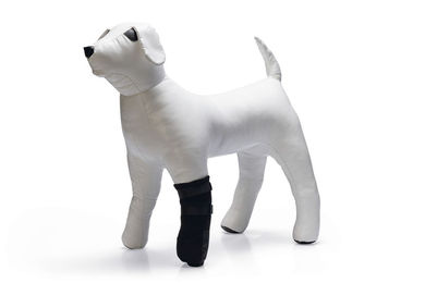 Produktbild von Beeztees Pfotenschutz schwarz