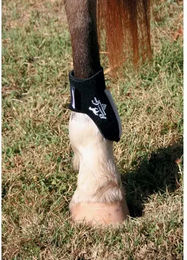Produktbild von Beinschutz für Pferd Professional's Choice