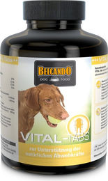 Produktbild von Belcando® Vital-Tabs - 60 Stk.