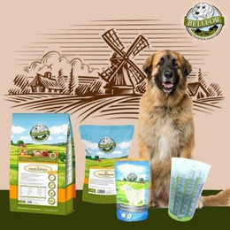 Produktbild von Bellfor Futterset für Leonberger mit kaltgepresstem Trockenfutter, Truthahn Snack und Dental Pulver - 4 kg
