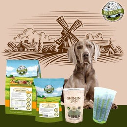 Produktbild von Bellfor Futterset für Weimaraner mit getreidefreiem Trockenfutter und Hundesnack - 4 kg