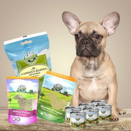 Produktbild von Bellfor Hypoallergenes Hundefutter Nass für kleine Hunde - 6 x 200 g