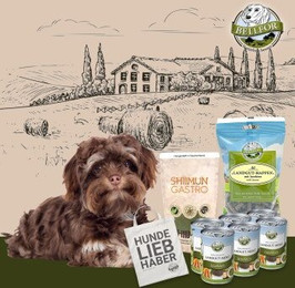 Produktbild von Bellfor Verdauungs-Set für kleine Hunde mit Landgut-Menü Nassfutter - 6 x 400 g