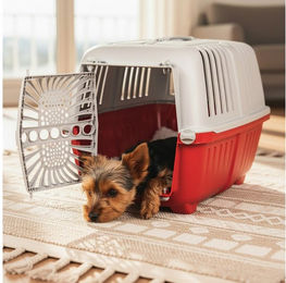 belviona Hunde-Transportbox aus Kunststoff für kleine Hunde bis 15 kg, leicht & robust, mit Tragegriff & Belüftung – Bild 1 von 5