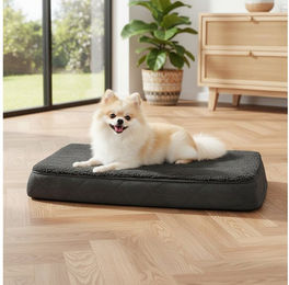 belviona Hundematte mit waschbarem Bezug, Wildlederimitat, Plüsch, Hundematratze weich & stabil, mit Tragegriff – Bild 1 von 5