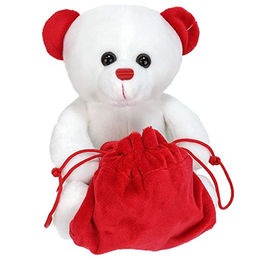 BEMIRO Tierkuscheltier Weißer Teddybär klein mit rotem Sack – Bild 1 von 6