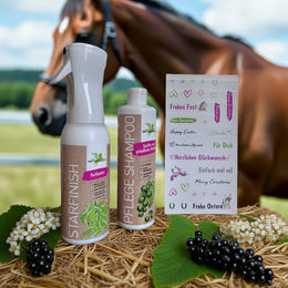 Produktbild von Bense & Eicke Geschenkset StarFinish parfümfrei + Pflege Shampoo - 1 Set