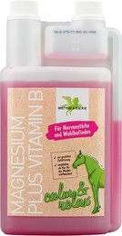 Produktbild von Bense & Eicke Magnesium plus Vitamin B - 1.000 ml