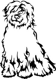 Produktbild von Bergamasker Grafiklizenz