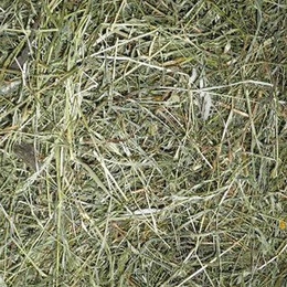 Produktbild von Bergwiesenheu 1,5 kg